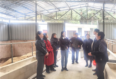 貴州陽光產(chǎn)權交易所開展鄉(xiāng)村振興調(diào)研和普法宣傳