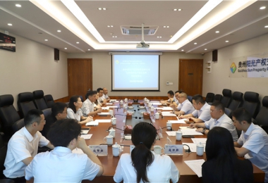 資源互補 共謀發(fā)展——貴州省資產(chǎn)管理公司與貴州陽光產(chǎn)權交易所召開交流座談會