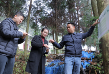 貴州省單株碳匯宣傳活動(dòng)在盤(pán)州市舉行
