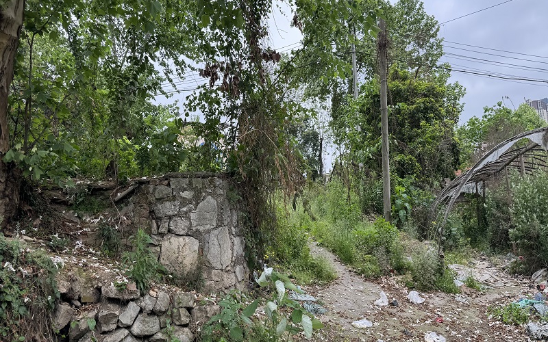 貴州省機關(guān)事務(wù)管理局國有資產(chǎn)管理服務(wù)中心遵義市紅花崗區(qū)桃溪路51號2處資產(chǎn)招租