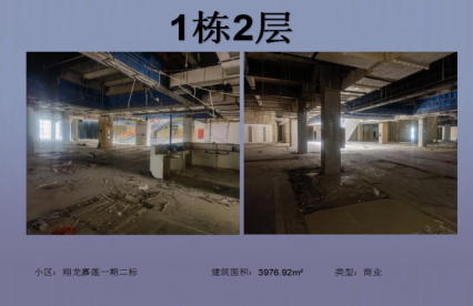 安龍翔龍嘉蓮項目(商業(yè))